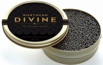 northern divine caviar