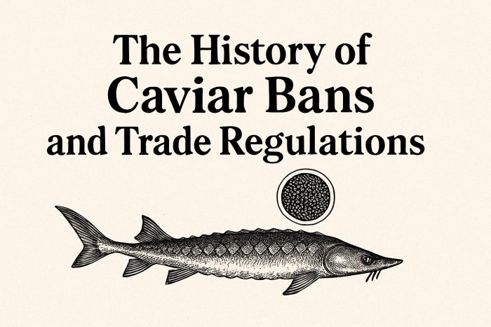 The History of Caviar Bans and Trade Regulations